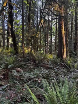 Welches Peak with Sauna, Hot Tub & Dome Escape